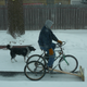 Image for article titled DIY Bicycle Snow Plow Works Great For Light Snow
